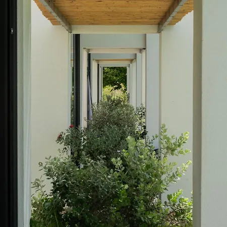 Sevene - Kourouta Peloponnese