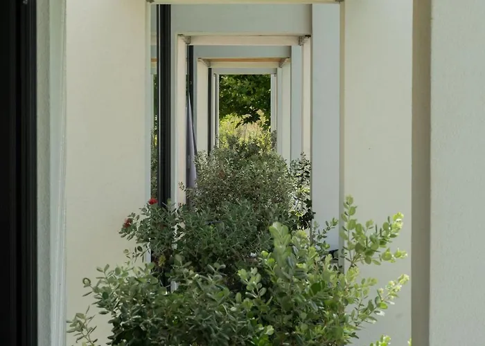 Sevene - Kourouta Peloponnese